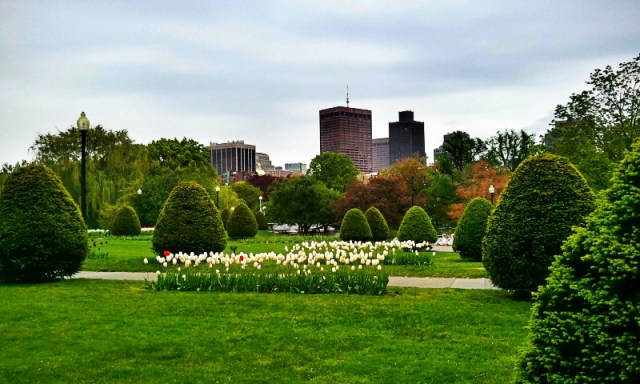 Boston Public Garden, view, city skyline, garden, Boston, Massachusetts, USA