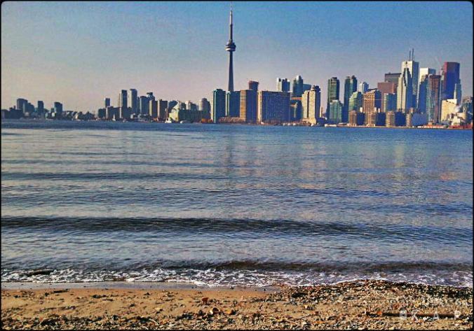 city view, skyline, Toronto Ferry Docks, Ferry, Toronto, Ward's Island, Ontario, Canada, lake Ontario, shore, water