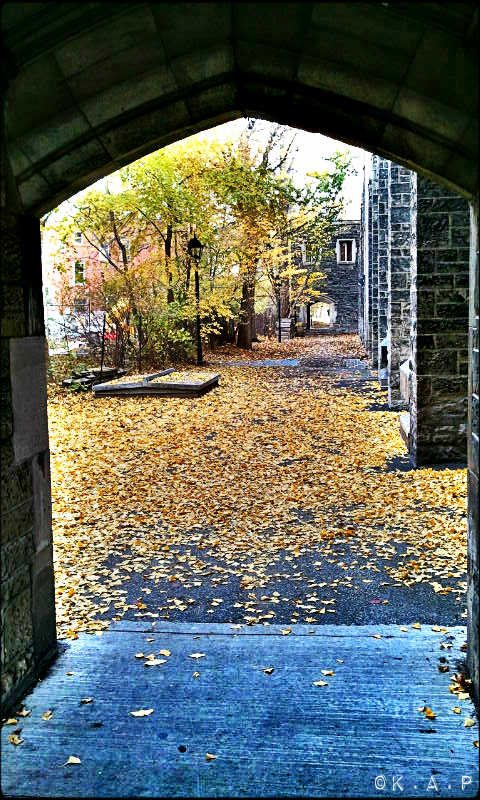 University of Toronto, UofT, St George campus, outdoor, secret passage, historic building,