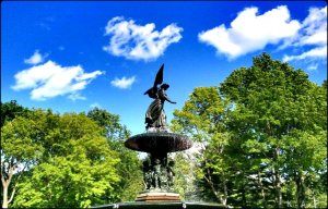 Trees, Bethesda Fountain, Central Park, NYC, NY
