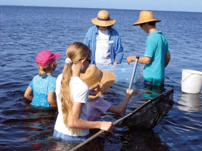 Charlotte Harbor and the Gulf Islands, Florida, USA, wading sea grass, adventure, travel, water
