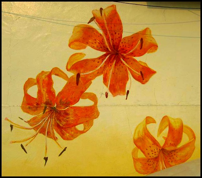 Gaemi Maeul, Ant Village, Seoul, South Korea, Art, Colorful wall, photography, flowers