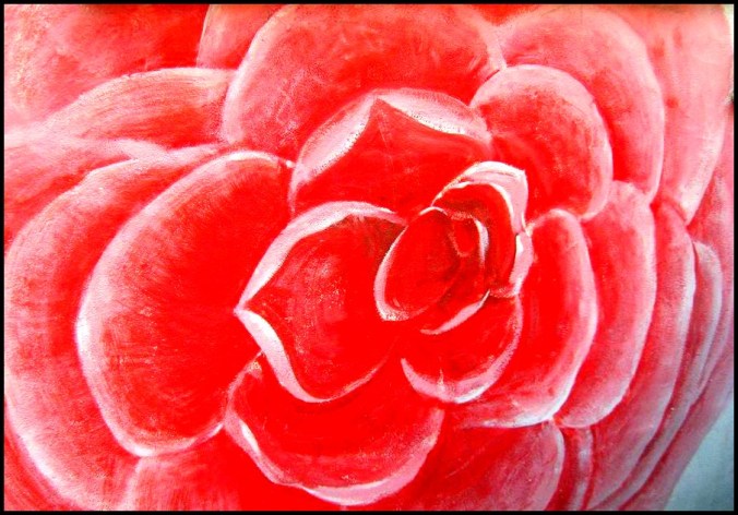 Gaemi Maeul, Ant Village, Seoul, South Korea, Art, Colorful wall, photography, rose. giant rose