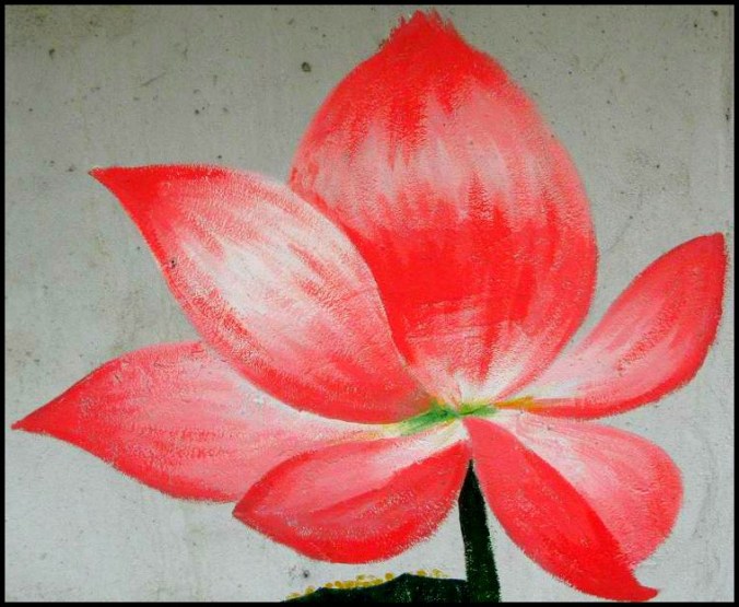 lotus, lotus flower, Gaemi Maeul, Ant Village, Seoul, South Korea, Art, colorful wall, photography,