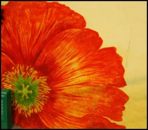 Gaemi Maeul, Ant Village, Seoul, South Korea, Art, colorful wall, photography, orange flower