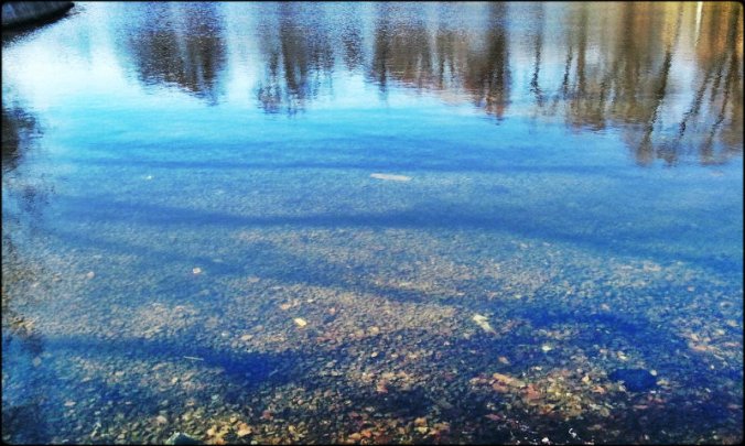 Lafontaine Park, Montreal, Park, Outdoors, Nature, Lake