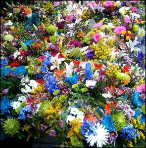 flowers, flower shop, colorful flowers, outdoor flower stand, flowers galore