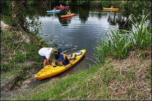 Phoenix Rising Kayak Tours, Kayak, Kayaking, SW Florida, Florida, Tours, Adventures