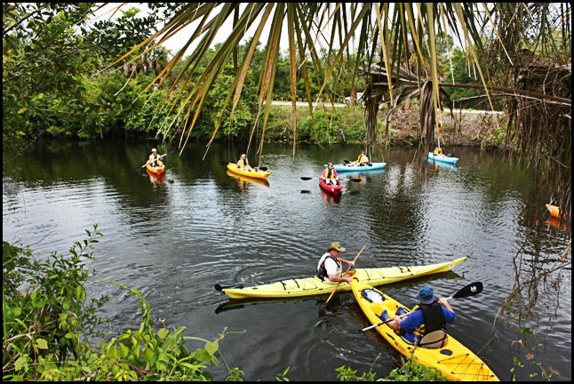 Phoenix Rising Kayak Tours, Kayak, Kayaking, SW Florida, Florida, Tours, Adventures, 