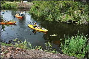 Phoenix Rising Kayak Tours, Kayak, Kayaking, SW Florida, Florida, Tours, Adventures