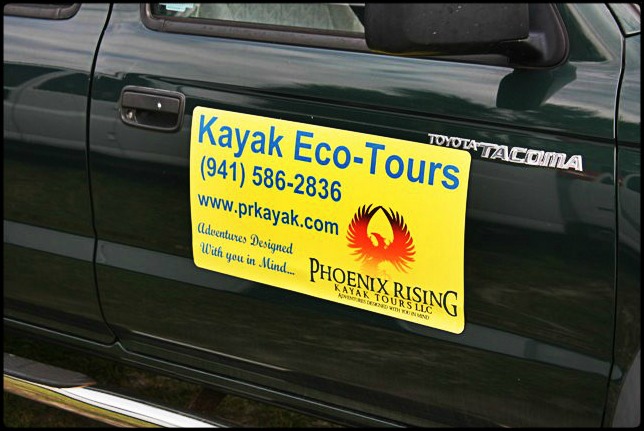 Phoenix Rising Kayak Tours, Kayak, Kayaking, SW Florida, Florida, Tours, Adventures, 