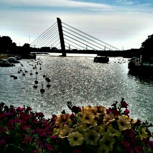 Crusellin Silta, Bridge, Ruoholahti Canal, Helsinki, Finland, travel, photography