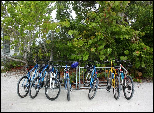 Acme Bicycles, bikes, bike rack