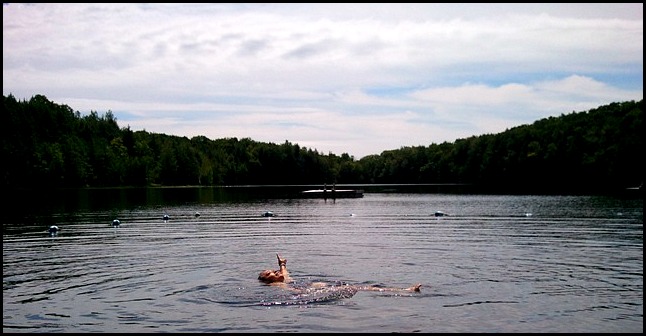 Balnea Spa, Eastern Townships, Cantons de l'Est, Bromont, Lac Gale, Quebec, nature