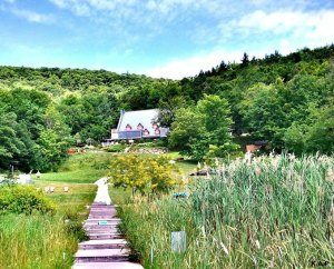 Balnéa Spa, Bromont, Quebec, Cantons de l'Est, Eastern townships, nature, green scenery, mountain, trees, nature, outdoors, spa,
