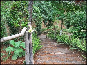 El Boqueron National Park, Parque Nacional El Boqueron, San Salvador, El Salvador, park, parque, crater, bosque, forest, hiking, caminata, Centro America, Central America, Travel, Viaje,