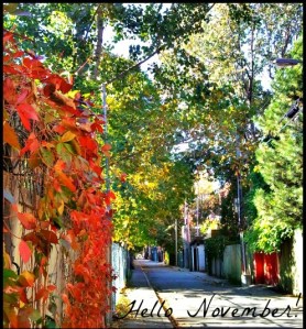 Outdoors, November, Greeting, MTL, Plateau Mont-Royal