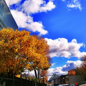 Fall, fall foliage, Quebec, Canada