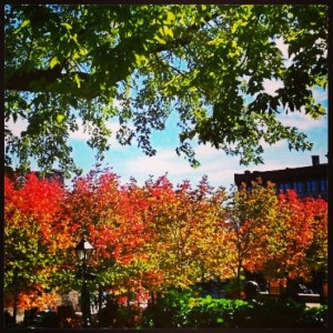 Fall, Old Montreal, Vieux-Montreal, fall foliage, Quebec, Canada