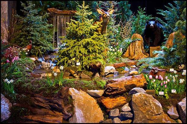 Northwest Flower & Garden Show , Seattle, NW, Discover USA, Gardening