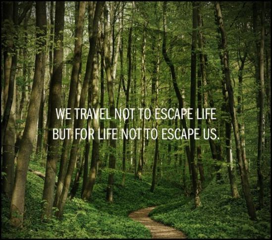 We travel, quote, travel quote