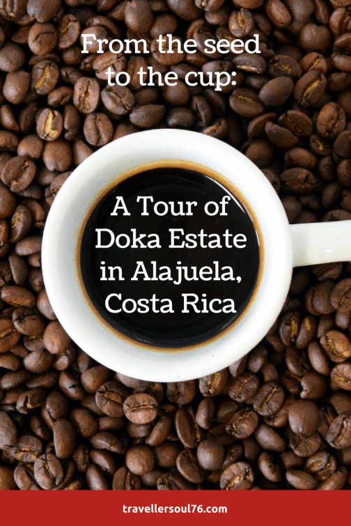 Do you love this liquid gold or the drink of the Gods as some may say? Coffee or café is certainly one of the favorite drinks of the civilized world. Come see the process, from the seed to the cup, at Doka Estate!