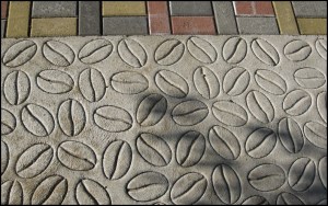 coffee beans on the sidewalk, Doka Estate, Alajuela, Costa Rica, Centro America, coffee plantation