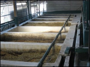 coffee processing plant, Doka Estate, Alajuela, Costa Rica, Centro America, coffee plantation