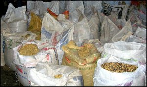 coffee sacks, coffee beans, dried coffee beans, coffee, Doka Estate, Alajuela, Costa Rica, Centro America, coffee plantation