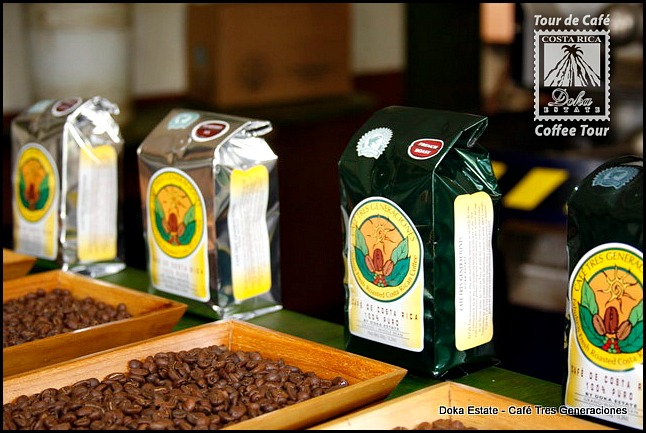 Café Tres Generaciones, coffee, Doka Estate, Alajuela, Costa Rica, Centro America, coffee plantation