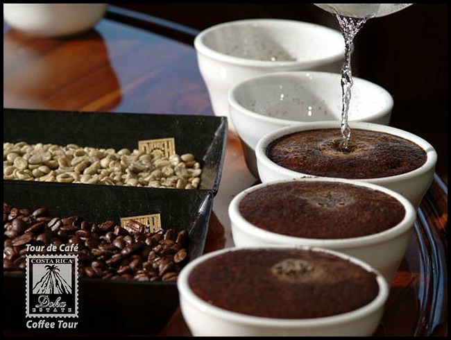 Café Tres Generaciones, coffee, Doka Estate, Alajuela, Costa Rica, Centro America, coffee plantation