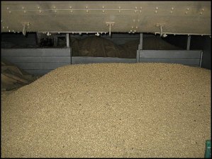 dried coffee, coffee in storage, Doka Estate, Alajuela, Costa Rica, Centro America, coffee plantation