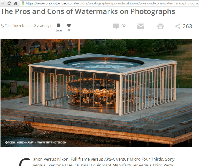 What exactly are the pros and cons of watermarks on photographs? Come read more about it and see if you should or shouldn't. #watermarks #copyright #photography #photographyrights #blog #blogging #bloggers