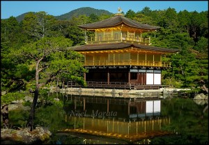Golden Temple, Kyoto, Japan, travel, photography, Noel Morata, Noel Morata Photography