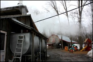 boiler room, Maple tree, érablier, tap hole, bucket, collecting sap, Cabane à sucre, Constantin Grégoire, sugar shack, St-Esprit, Québec