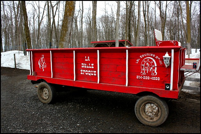 traditional cart, Maple tree, érablier, tap hole, bucket, collecting sap, Cabane à sucre, Constantin Grégoire, sugar shack, St-Esprit, Québec