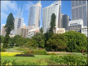 Sydney, Botanical Garden, Sydney Botanical Garden, Australia, travel, photography, outdoors, views