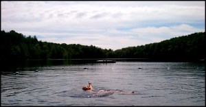 Lac Gale, Lake Gale, Spa Balnéa, Balnéa Spa, Balnéa, Bromont, Quebec, Spa, relaxation, nature, Quebec, Canada, TS76