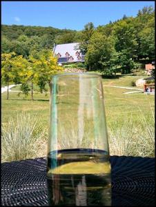 champagne, champagne glass, Spa Balnéa, Balnéa Spa, Balnéa, Bromont, Quebec, Spa, relaxation, nature, Quebec, Canada, TS76