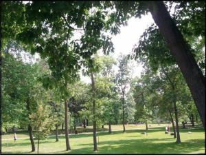 Île St-Jean, Terrebonne, Quebec, Lanaudiere, Festival Vins et Histoire Terrebonne 2014, Vieux-Terrebonne, TS76, photography, travel