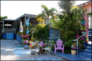 Margaret Albritton Gallery, Placida, Florida, travel, art, SW Florida, Charlotte Harbor & the Gulf Islands, Florida, travel, photography, TS76