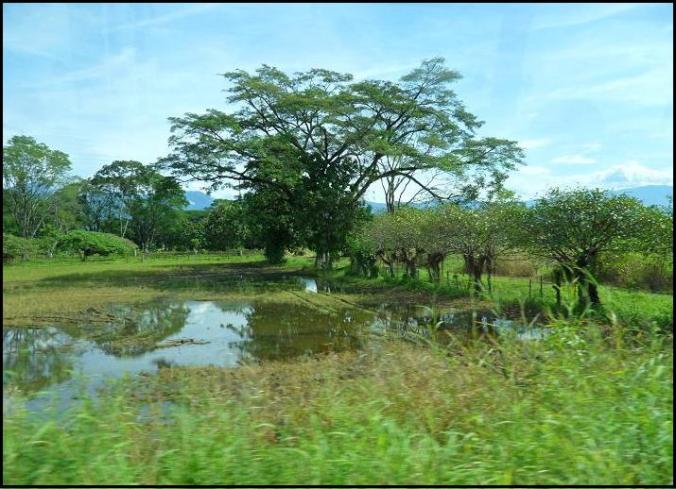 Costa Rica, Costa Rican countryside, country side, travel, photography, TS76