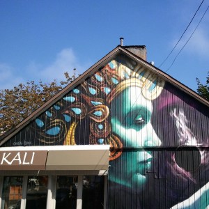 Montreal, Quebec, street art, art de rue, murals, art, art lovers, photography, TS76