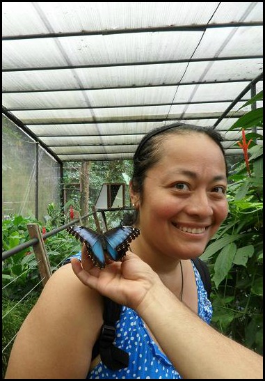 Blue Morpho Butterfly, Butterfly, Canopy Safari Tour, Manuel Antonio, Costa Rica, Sign, TS76, photography