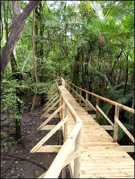 Hiking trail, Parque Nacional Manuel Antonio, Costa Rica, Park, nature, travel, photography, TS76
