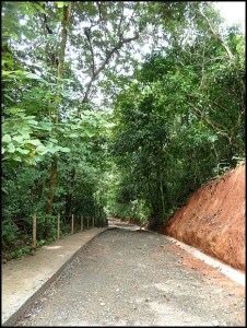 Parque Nacional Manuel Antonio, Costa Rica, Park, nature, travel, photography, TS76