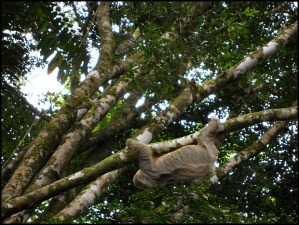 Parque Nacional Manuel Antonio, Costa Rica, Park, nature, travel, photography, TS76