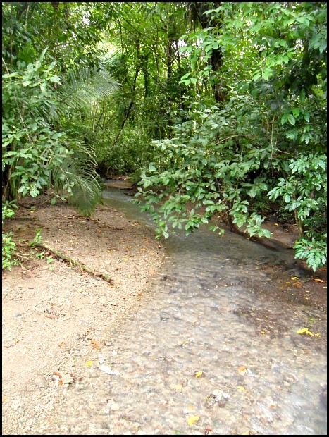 Parque Nacional Manuel Antonio, Costa Rica, Park, nature, travel, photography, TS76