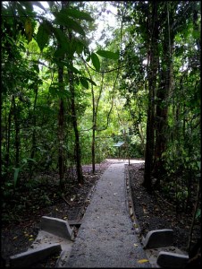 Parque Nacional Manuel Antonio, Costa Rica, Park, nature, travel, photography, TS76