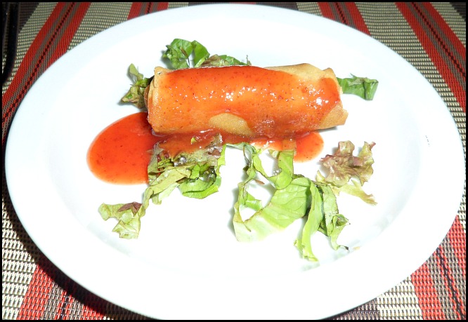 veggie spring roll, spring roll, foodie, food porn, gourmet food, Parador Resort and Spa, Costa Rica, travel, photography, TS76